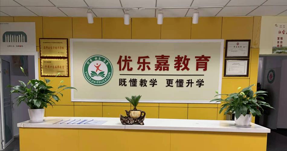 武汉优乐嘉信息科技 科技信息咨询服务的领航者